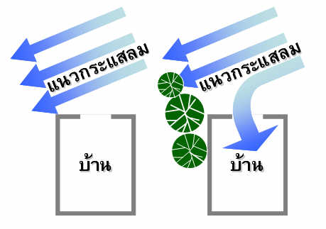 แนวกระแสลม