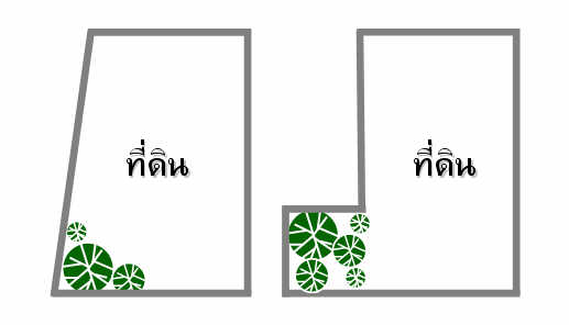 การปลูกต้นไม้-1