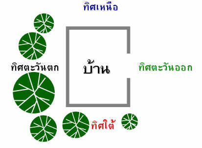 การปลูกต้นไม้-2